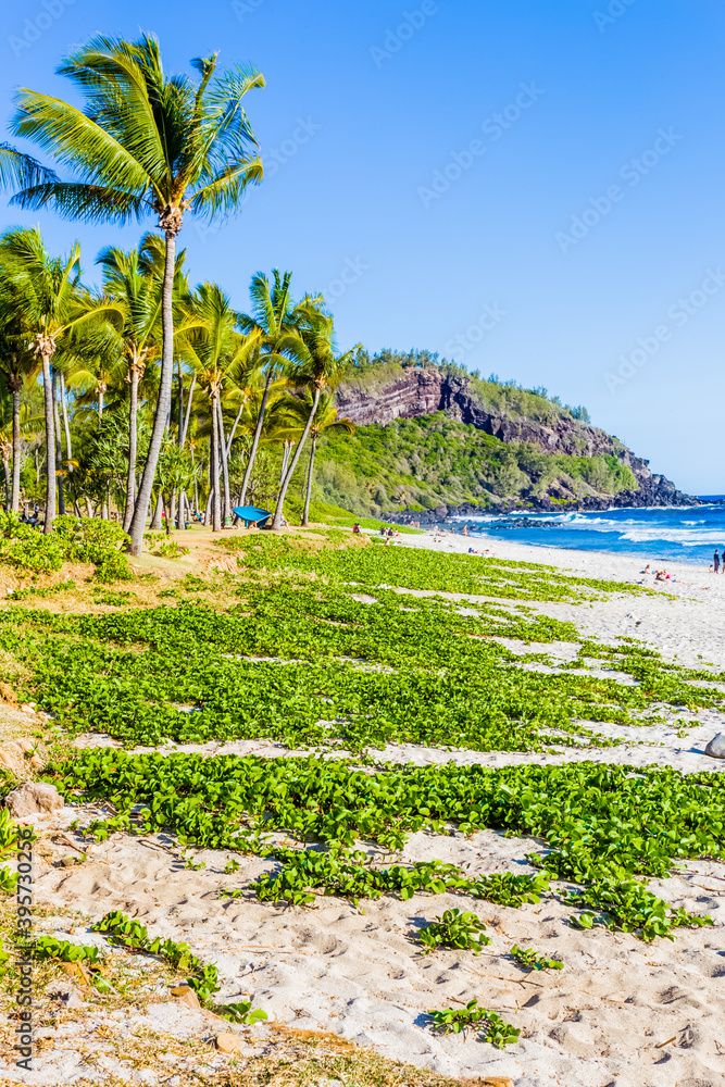 beach with palm trees, Grand’Anse, Reunion island 