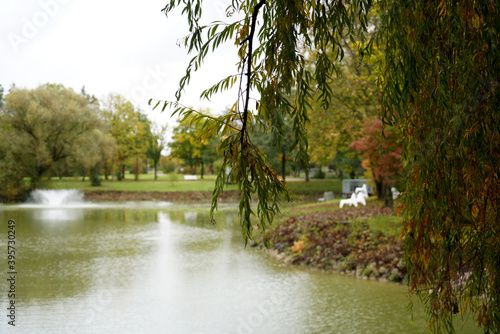 Εκτύπωση καμβά Selective focus shot of a willow branch with foliage over a small pond in an aut