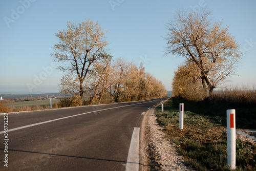 Idyllic silence on an empty road