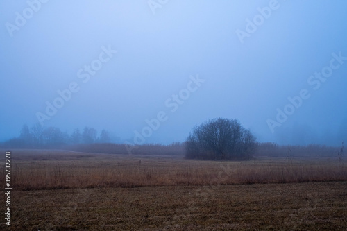 Pf  ffiker See mit Nebel im Morgengrauen