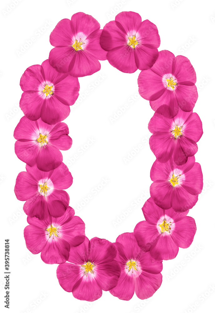 Arabic numeral 0, zero, from pink flowers of flax, isolated on white background