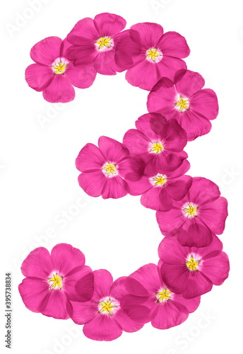 Arabic numeral 3, three, from pink flowers of flax, isolated on white background