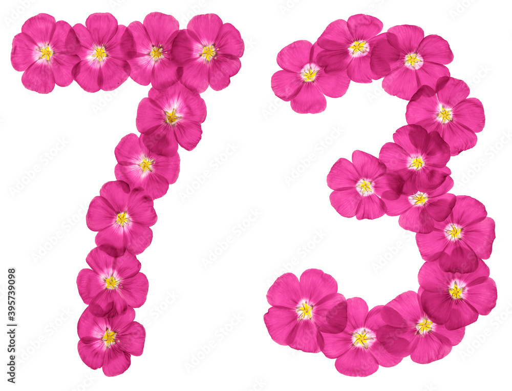 Arabic numeral 73, seventy three, from pink flowers of flax, isolated on white background Arabic numeral 73, seventy three, from pink flowers of flax, isolated on white background