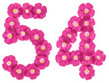 Arabic numeral 54, fifty four, from pink flowers of flax, isolated on white background