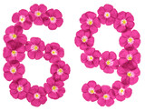 Arabic numeral 69, sixty nine, from pink flowers of flax, isolated on white background