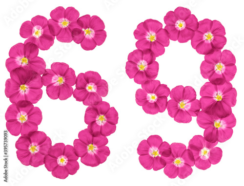 Arabic numeral 69, sixty nine, from pink flowers of flax, isolated on white background photo