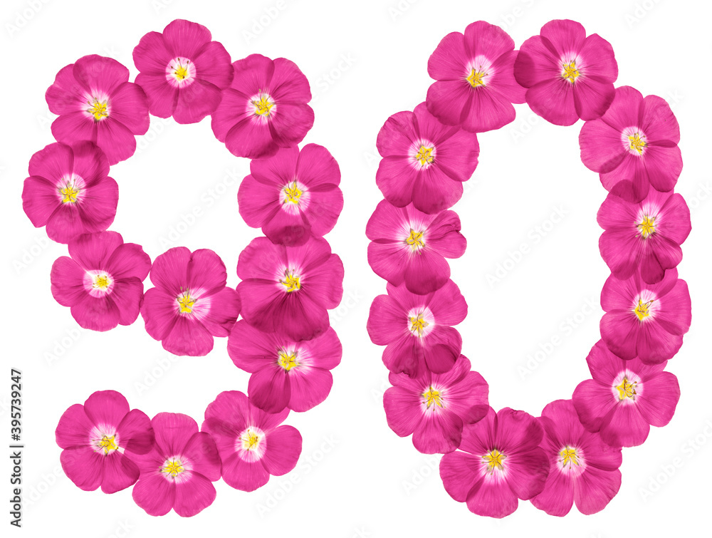Arabic numeral 90, ninety, from pink flowers of flax, isolated on white background