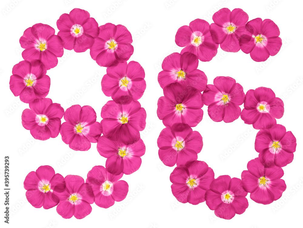 Arabic numeral 96, ninety six, from pink flowers of flax, isolated on white background