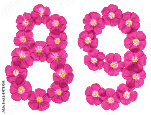 Arabic numeral 89, eighty nine, from pink flowers of flax, isolated on white background photo