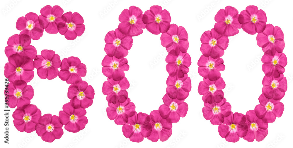 Arabic numeral 600, six hundred, from pink flowers of flax, isolated on white background