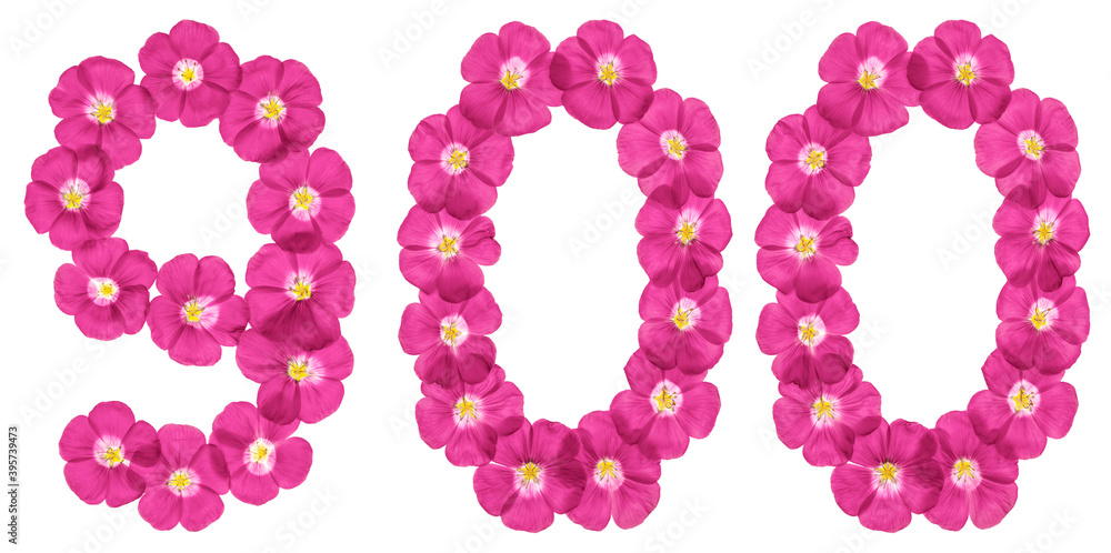 Arabic numeral 900, nine hundred, from pink flowers of flax, isolated on white background