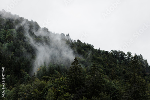 Fog in the mountains in early morning
