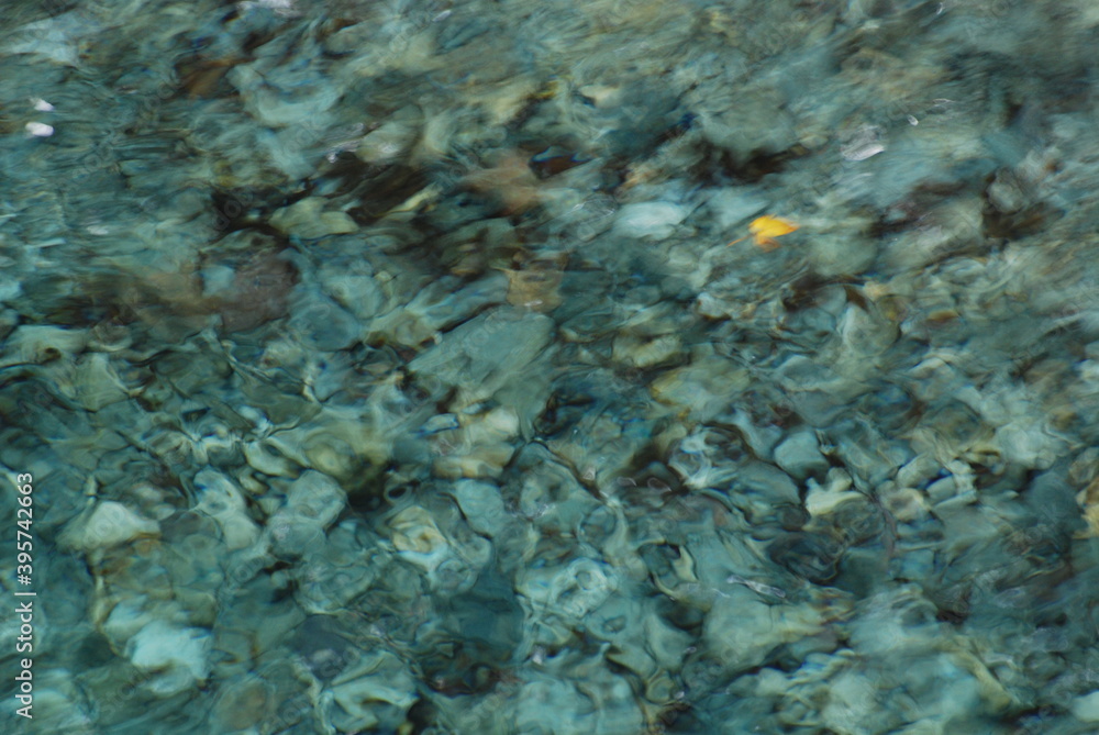 Fototapeta premium 透き通った川の水