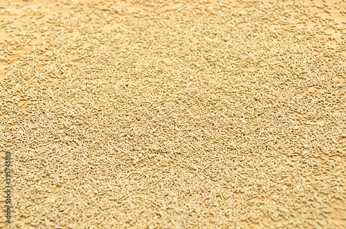 Active granulated yeast, instant dry sourdough, on bamboo cutting board photo