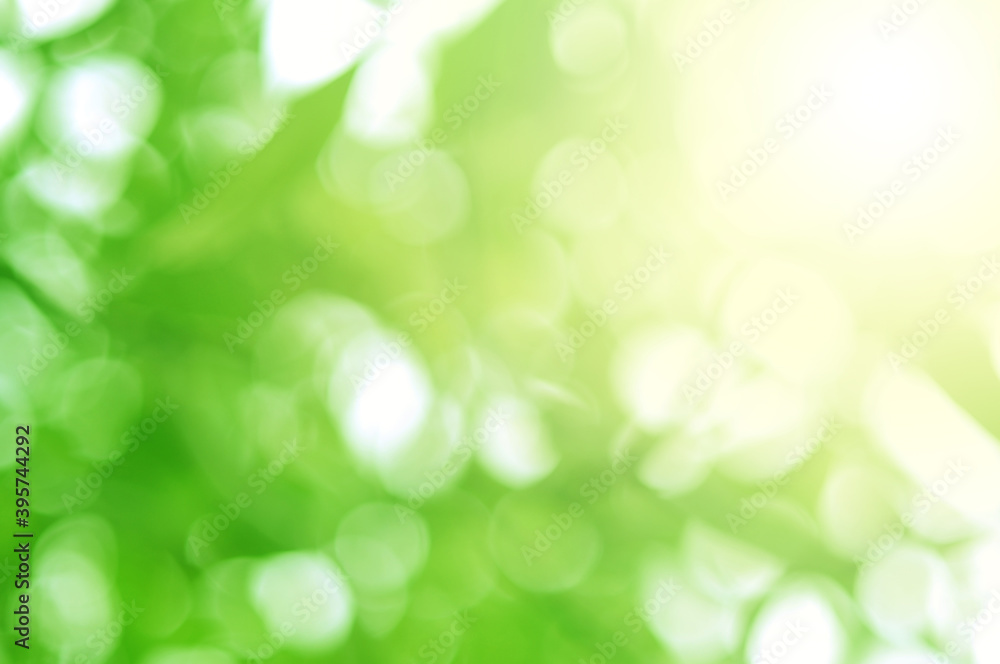 Green light leaves blurred and blur natural abstract. Effect sunlight soft bright shiny style bokeh circle yellow and orange blurry morning . For wallpaper backdrop and background.
Green light leaves blurred and blur natural abstract. Effect sunlight soft bright shiny style bokeh circle yellow and orange blurry morning . For wallpaper backdrop and background.