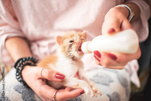 Girl with little cat kitten breastfeeding drinking milk from a feeding bottle newborn outdoors. Vet, animal lover and cat adoption concept. photo