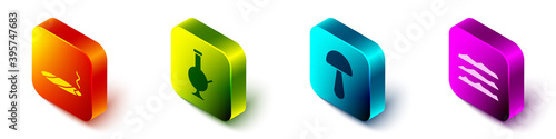 Set Isometric Cigar with smoke, Glass bong for smoking marijuana, Psilocybin mushroom and Cocaine or heroin drug icon. Vector.