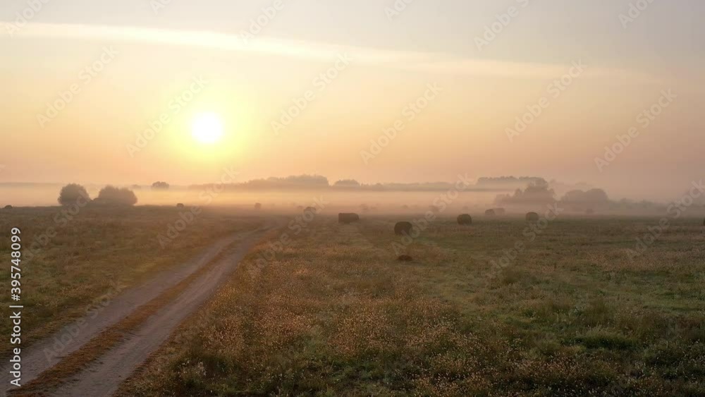 Aerial view landscape of sunrise fog covering field. Flying along the road in the countryside. Sun rays beaming thrugh fog. Aerial view landscape of sunrise fog covering field. Flying along the road in the countryside. Sun rays beaming thrugh fog.