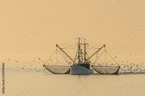 Fischkutter auf der Nordsee mit ausgelegten Netzen und Schwarm von Seemöwen, Büsum, Nordsee, Schleswig-Holstein, Deutschland