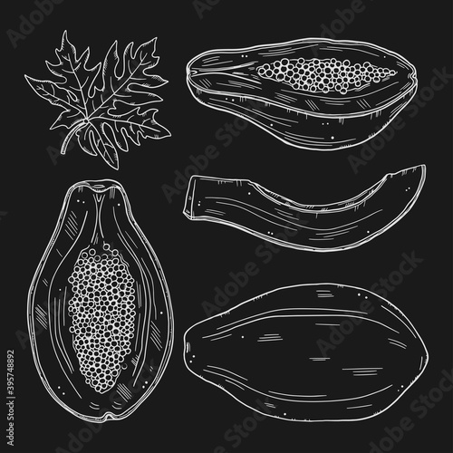 A set of papaya fruits in various forms. Whole and sliced fruit with leaves on a black background. White chalk outline doodle style.