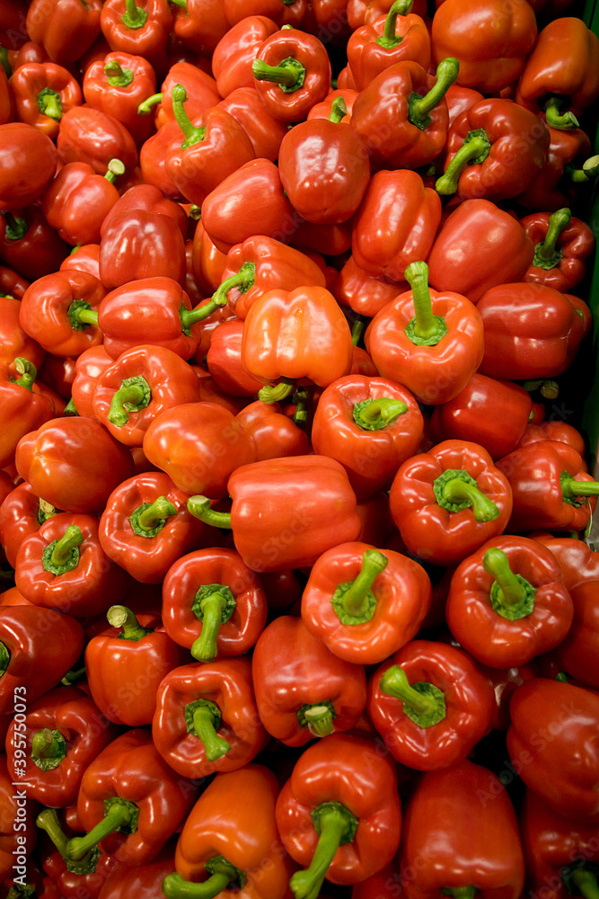 Lots of colorful bell peppers in a supermarket. 