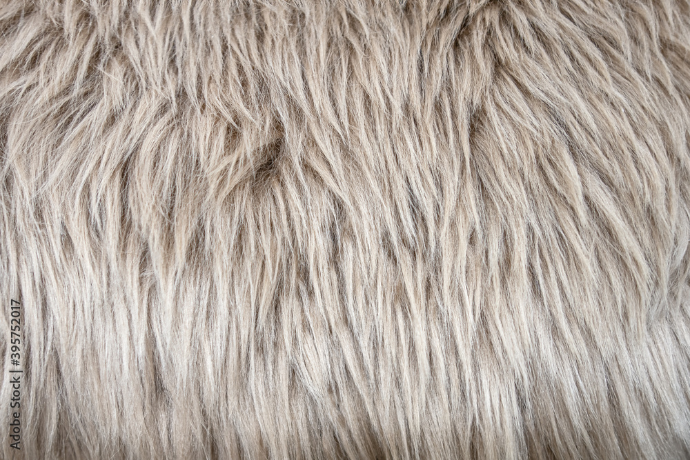 Obraz abstrakcyjne tło eleganckiego ciepłego beżowego futra z bliska