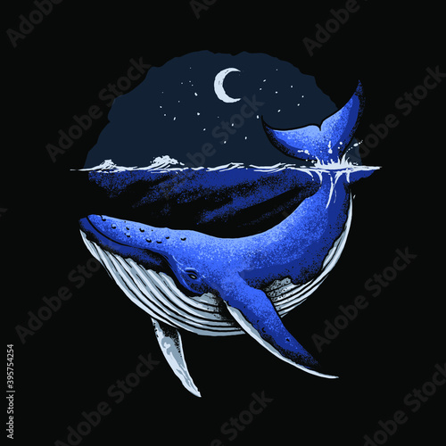 illustration of a blue whale