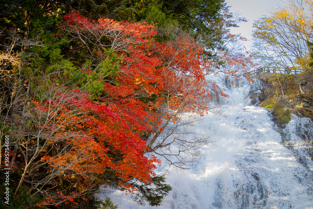 紅葉と湯滝
