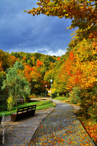 Autumn alley in Sovata resort, Romania photo