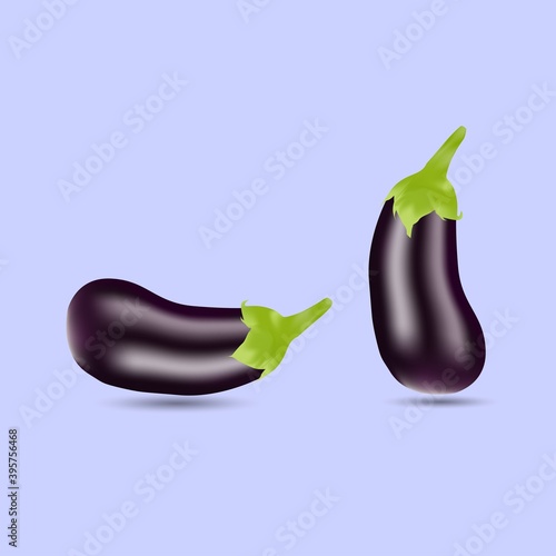vector illustration of two purple eggplant design