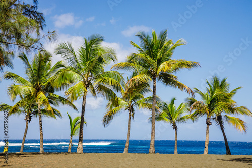 Palm trees of Etang-Sale beach on Reunion Island with its characteristic black sand and the waves of the Indian Ocean
