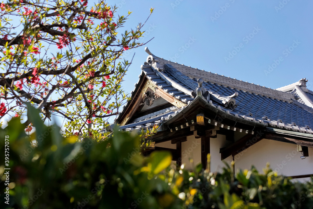 Japanese temple roof. Details of the roof and tree. Bright weather. April 2015. Japanese temple roof. Details of the roof and tree. Bright weather. April 2015.