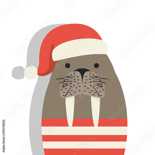 Cute walrus with red hat