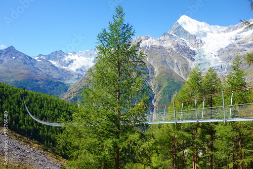 Charles Kuonen suspension bridge in Swiss Alps. With 494 metres, it is the longest suspension bridge in the world. Valais, Switzerland