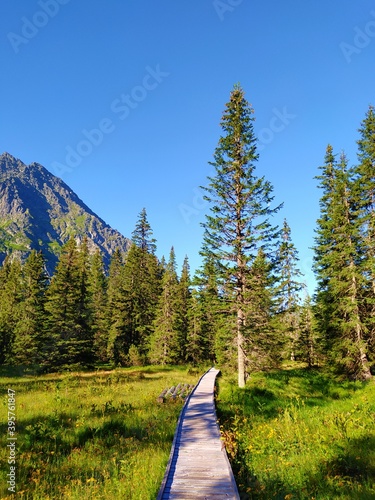 Wooden hiking path in Koprova dolina, High Tatras national park, Slovakia photo