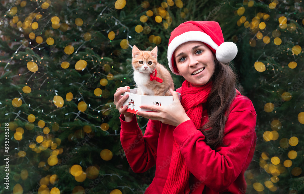 Get a pet as a gift and get it out of the box. Bright new year background with bokeh of yellow garlands. A cute European girl in a red Santa hat gets a little red kitten as a gift and is happy. Get a pet as a gift and get it out of the box. Bright new year background with bokeh of yellow garlands. A cute European girl in a red Santa hat gets a little red kitten as a gift and is happy.
