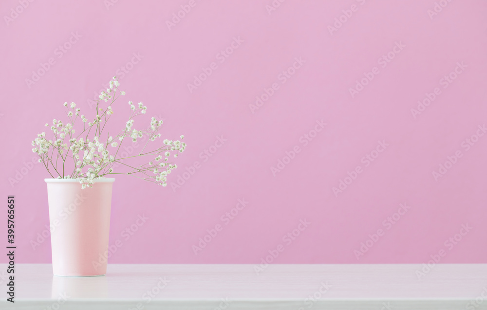 gypsophila flowers in vase on pink background