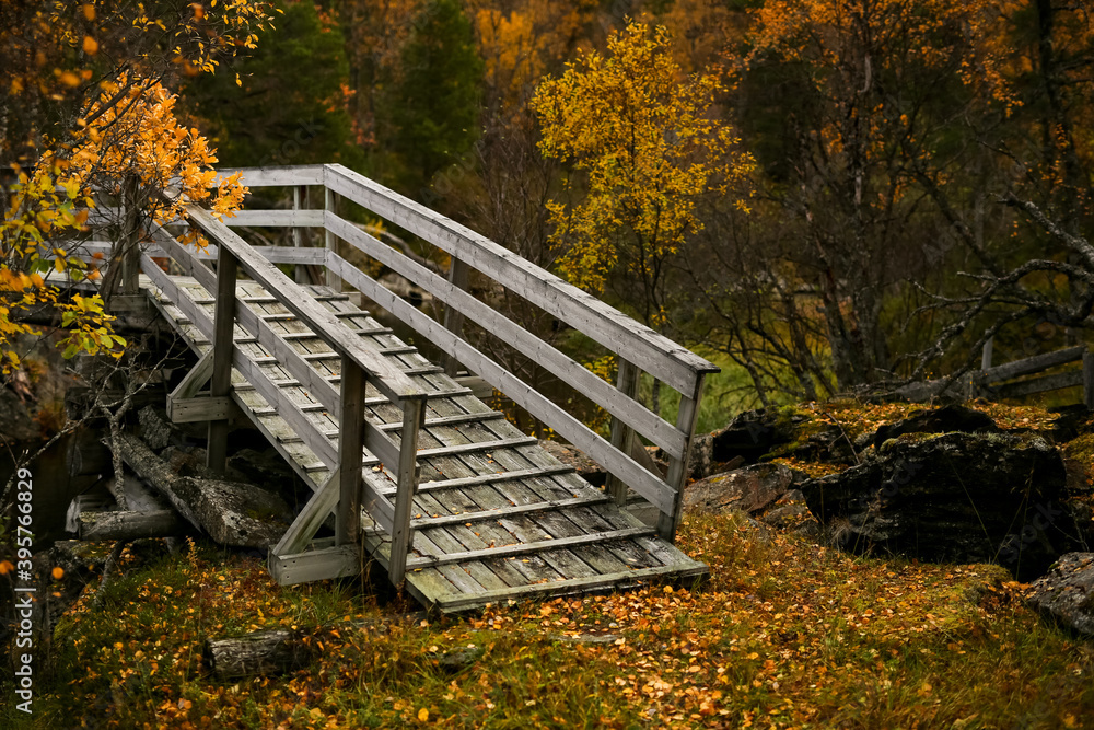 Fototapeta premium bridge