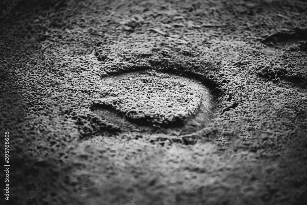 Obraz premium Black-and-white image of a horseshoe print in the sand. The horse tracks. Outdoor arena.