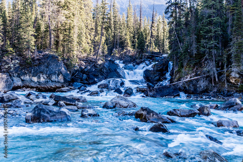 Confluence of Yoho and Kickinh Horse rivers. Yoho National Park. British Columbia, Canada.