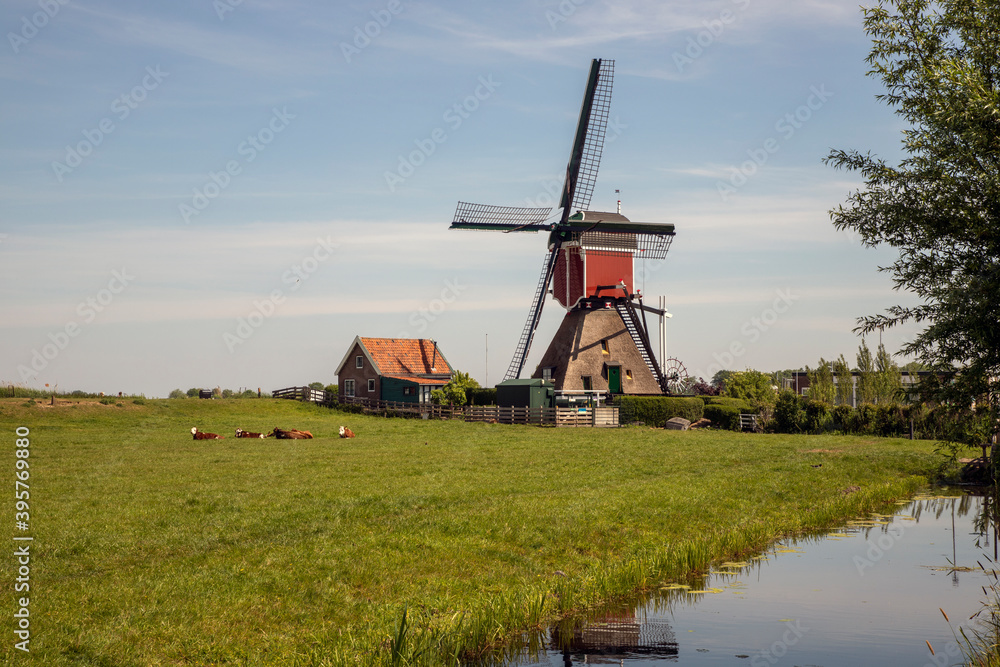 Fototapeta premium Old dutch windmill with blue sky