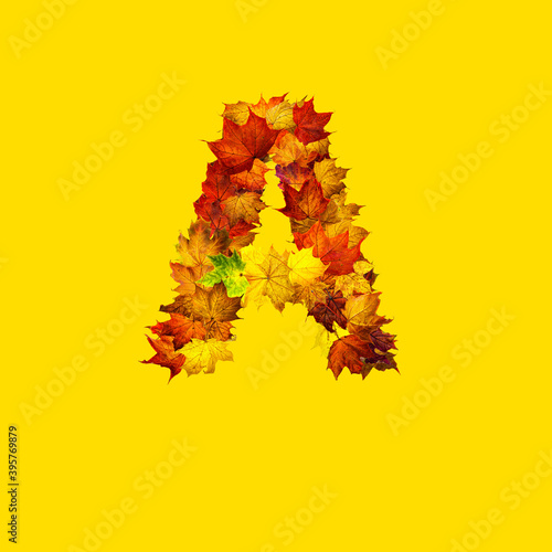 Colorful autumn leaves isolated on yellow background as letter A.