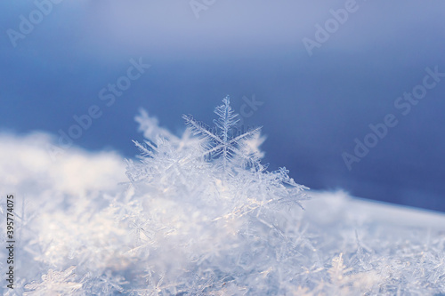 Snowflakes close-up. Macro photo. The concept of winter, cold, beauty of nature. Copy space..