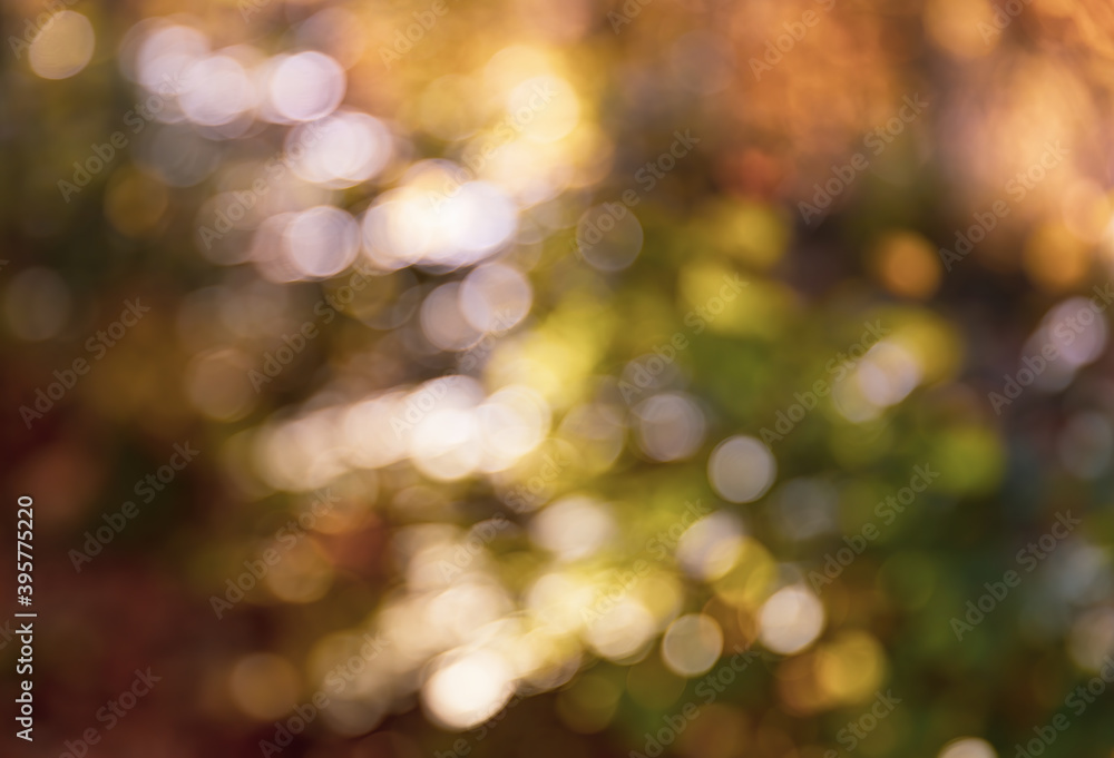 Obraz premium Blurred bright autumn background.