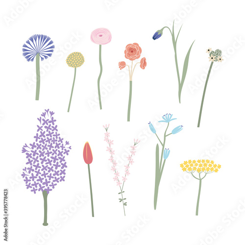 Vector color flat illustration with early spring flowers. Flowering branches for Easter decor and floristry