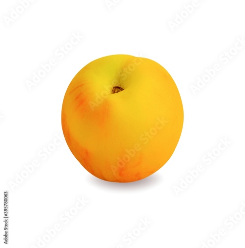 Ripe peach on white Vector illustration