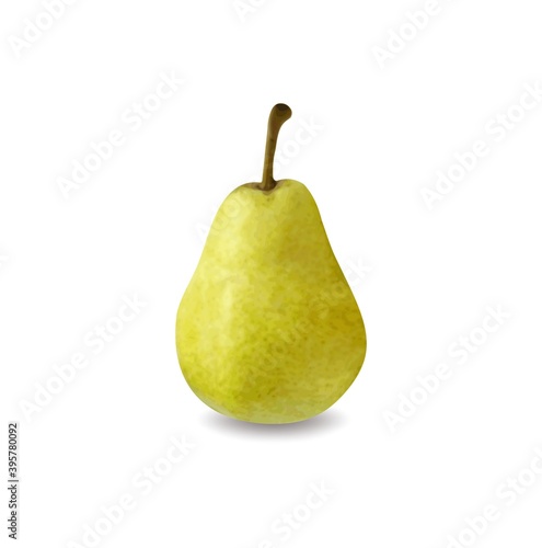 Green pear isolated on white background Vector illustration
