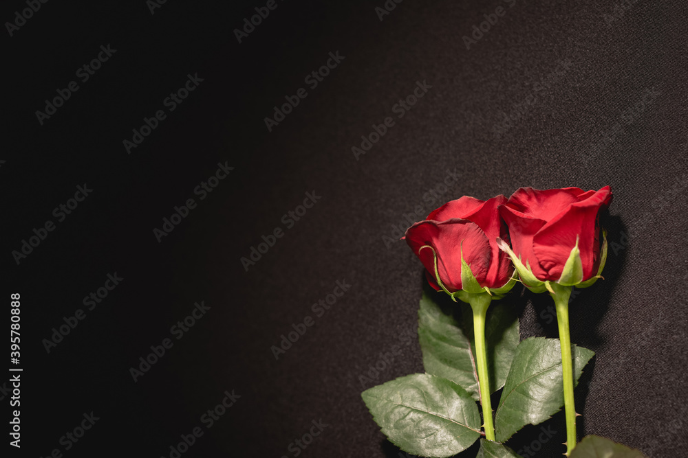 two red roses on black , funeral concept two red roses on black , funeral concept