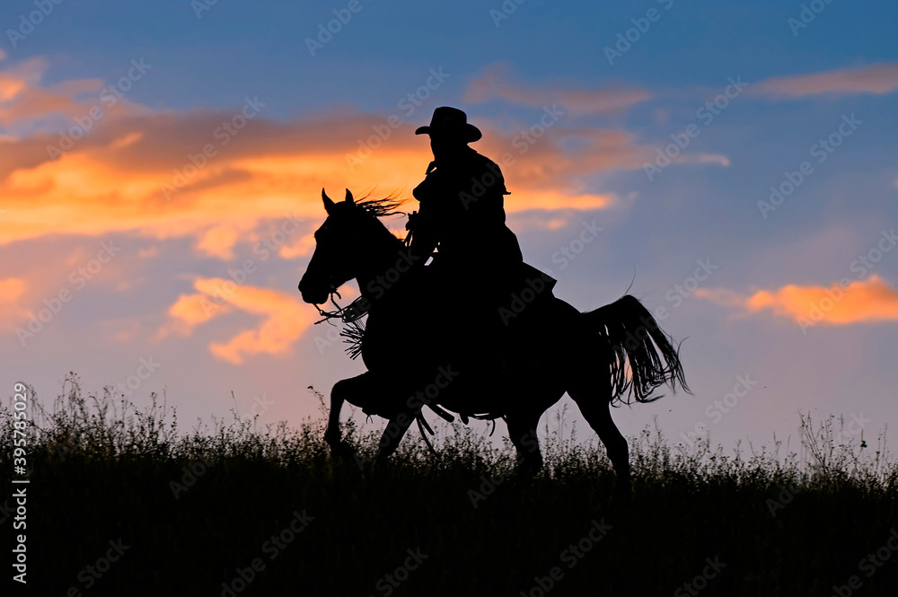Cowboy on horseback gallopping silhouette