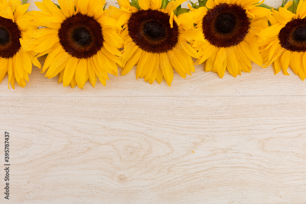 Obraz premium Sunflowers in a row at the top on wooden background